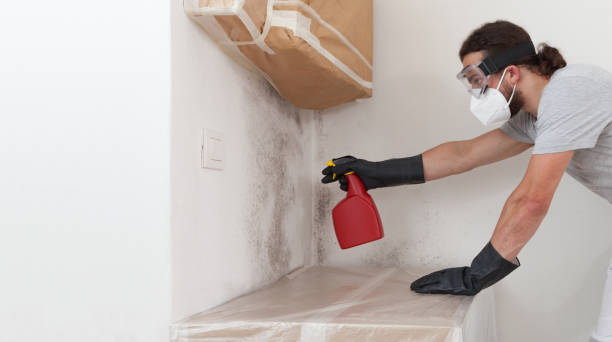 Professional Mold Testing technician working in Englishtown, NJ