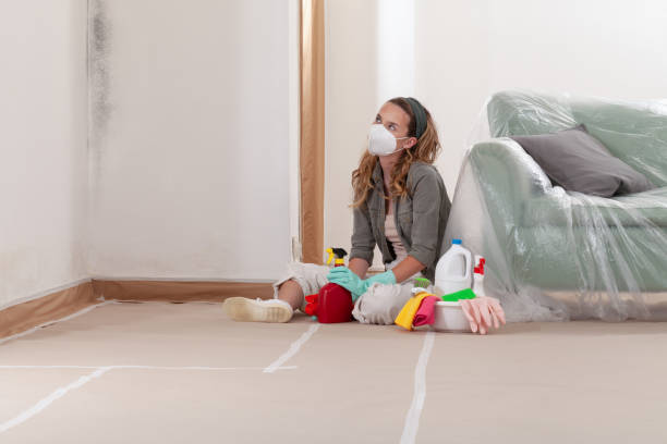 Reliable Mold Testing contractor in Englishtown, NJ by WQB Mold Removal